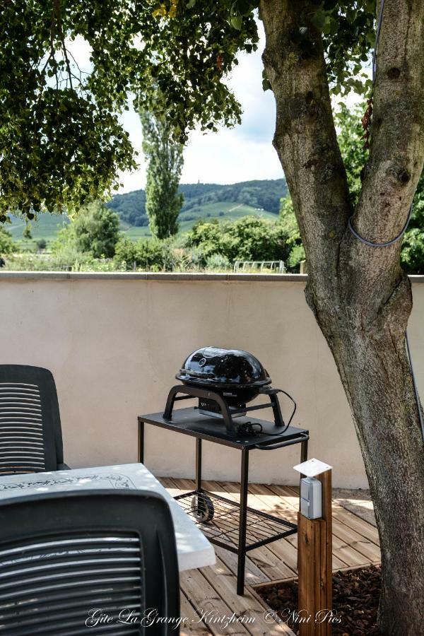 Gite Spa La Grange キンツアイム エクステリア 写真